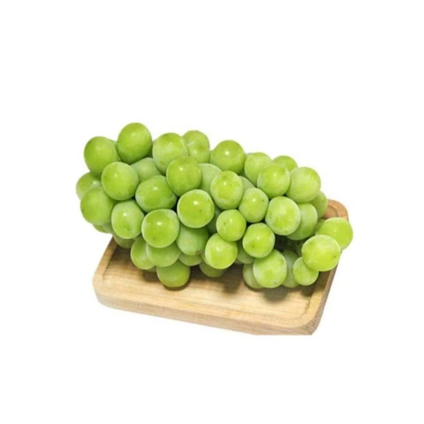 阳光玫瑰青提450g山东省