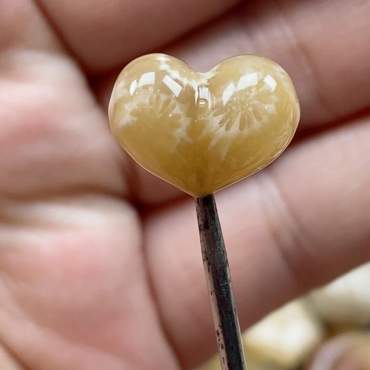 颈饰未镶嵌硅化珊瑚（珊瑚玉）小