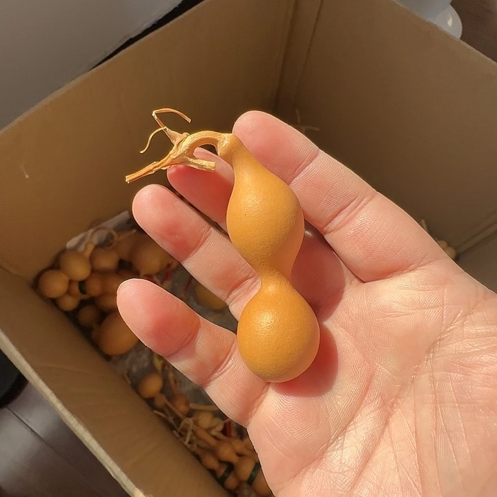 珊***读八宝葫芦一把活动