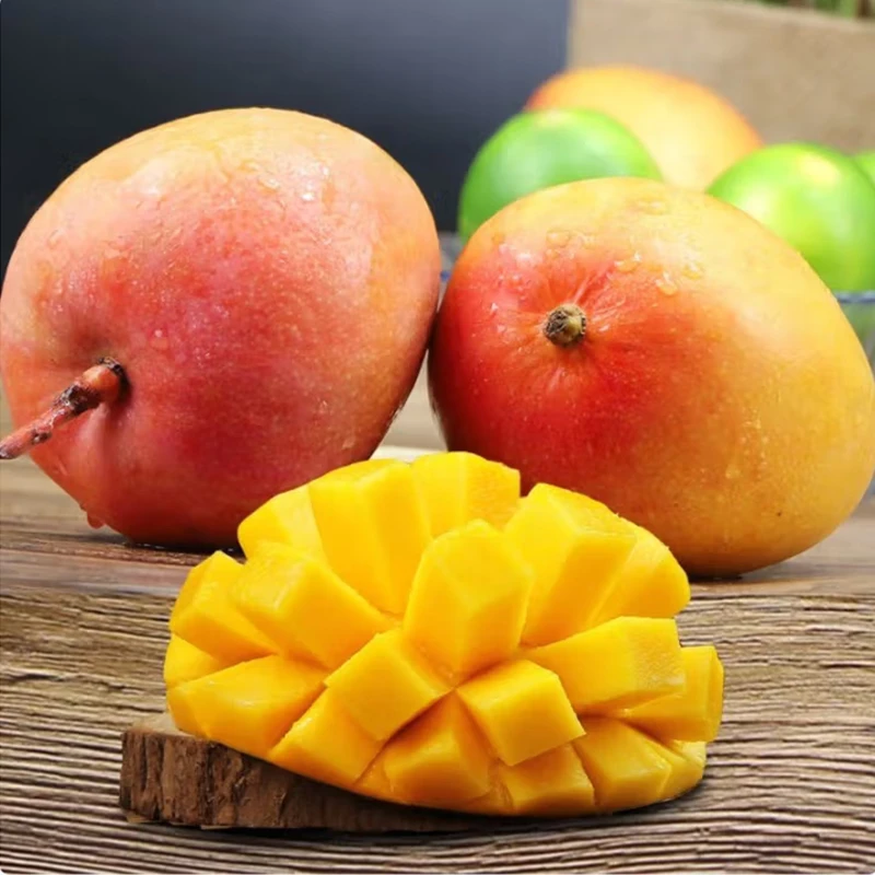 新鲜苹果澳芒香甜软糯无丝无筋应季热带水果