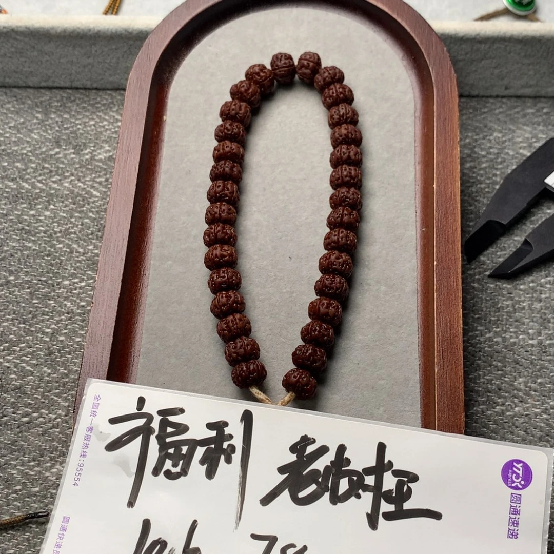 手串金刚菩提老树王