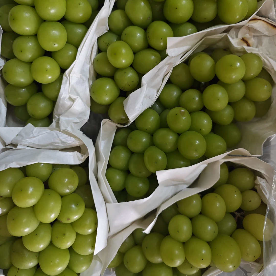 阳光玫瑰一筐（去皮后净重7-8斤左右）