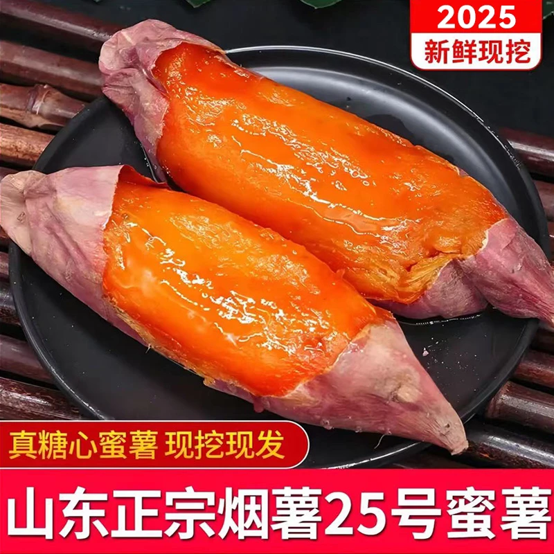 山东特产烟薯25号新鲜糖心蜜薯流油香甜蒸煮烤食佳选