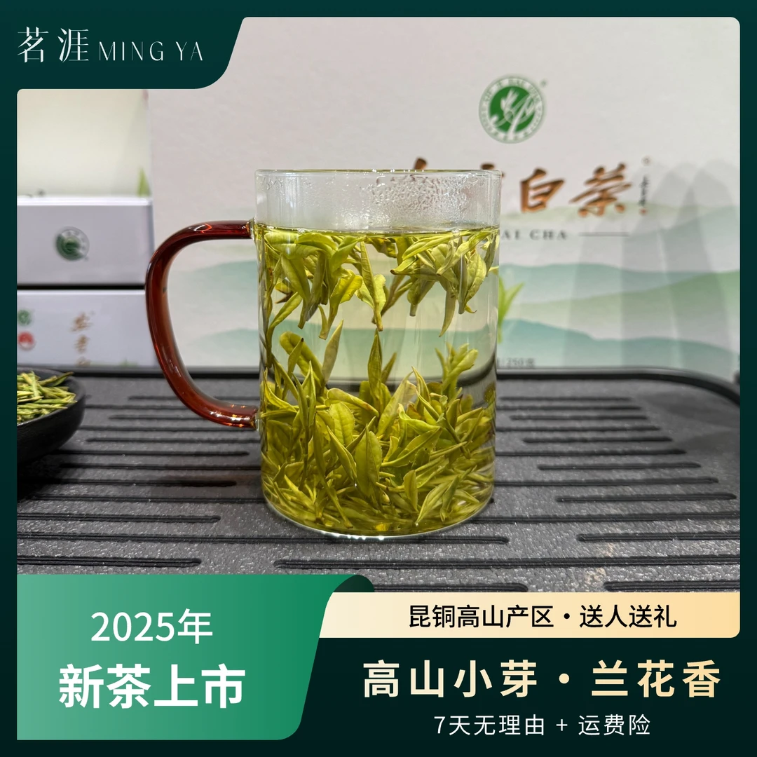 茗涯【M4·高山小芽】2025年春茶昆铜核心产区安吉小芽头兰花香