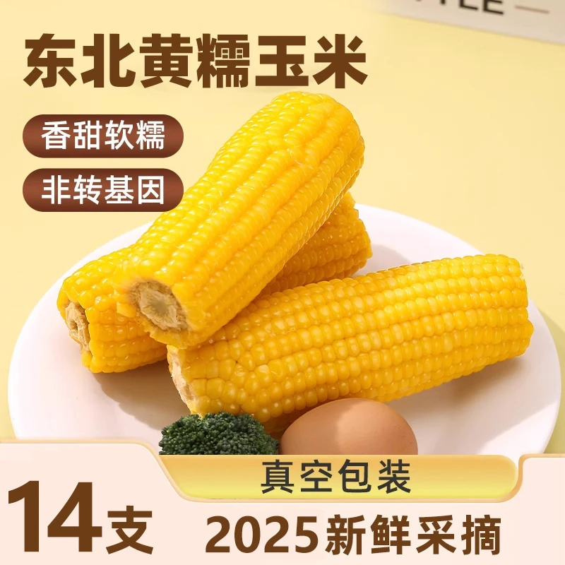【可试吃两根】东北黄糯玉米当代餐糯玉米真空包装黏玉米整箱14根