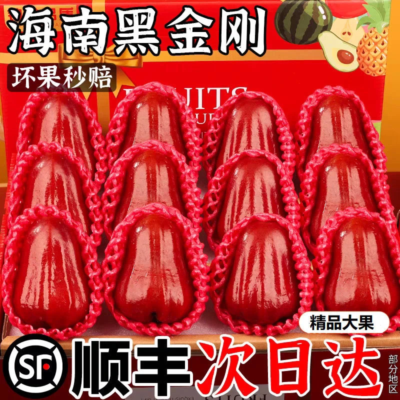 【顺丰包邮】精品黑金刚莲雾正宗海南新鲜当季高山现摘仙女果大果