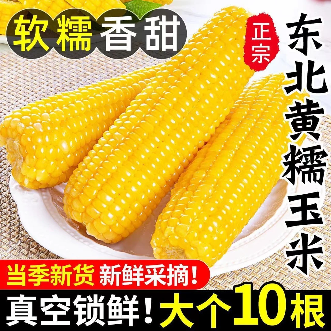 【8+2根试吃】到手10根软糯香甜东北头茬糯玉米小黄糯