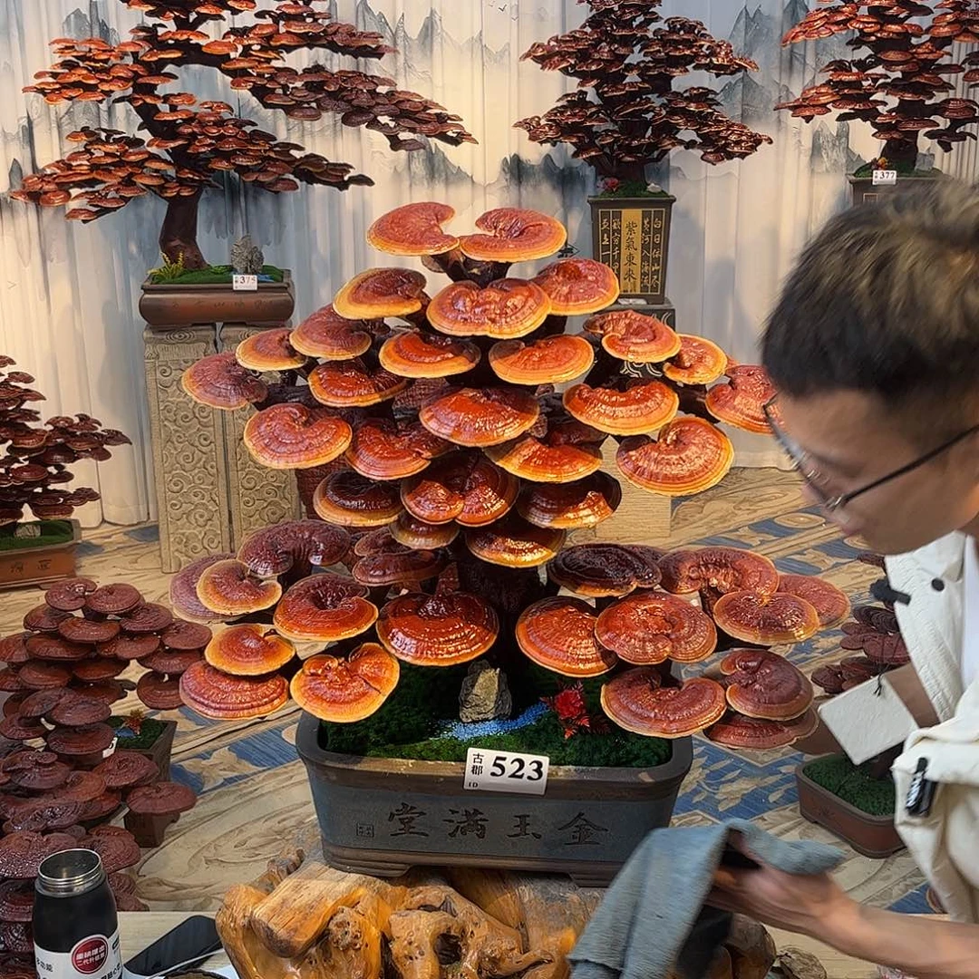 无花朵8888888888888