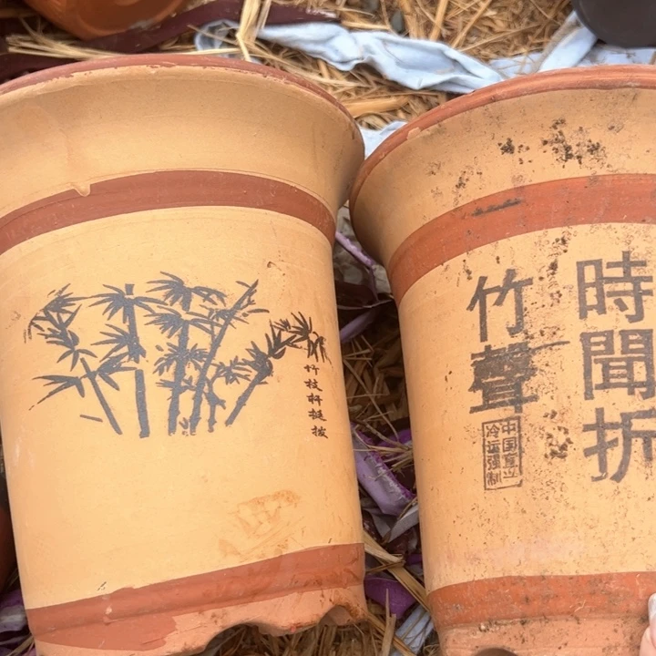 红陶吸收兰花盆微瑕