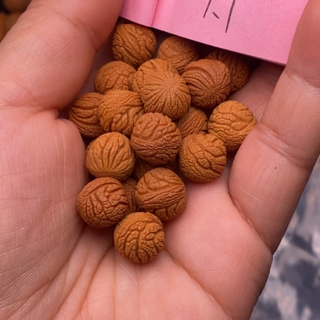 秦岭龙纹桃核22颗