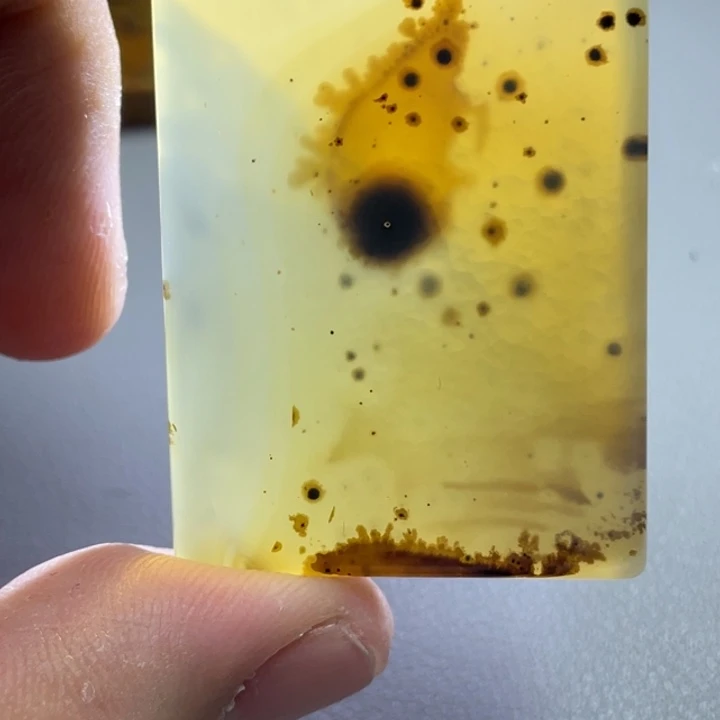 玛瑙/玉髓颈饰未镶嵌座*鲸