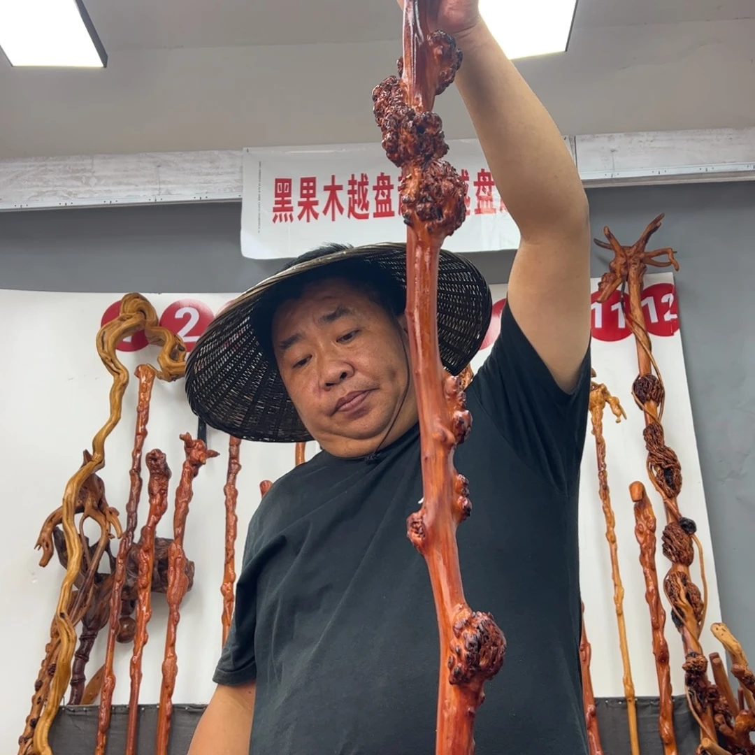 何***亿黑果木其他黑果木835