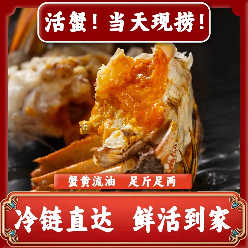 【活蟹现发】鲜活大闸蟹全母蟹3.0-2.7两买8+2到手10只