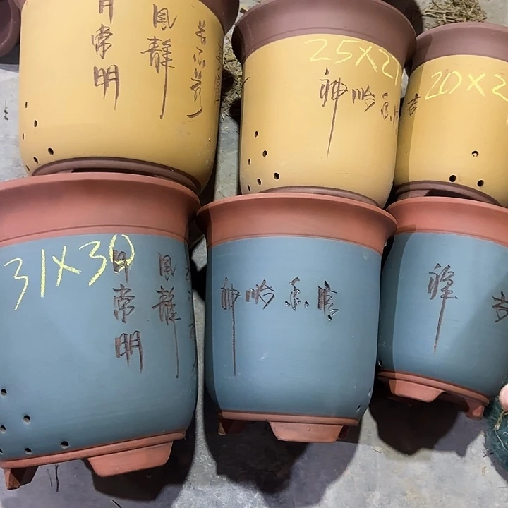 驰***銮两只大号蓝色四只黄色