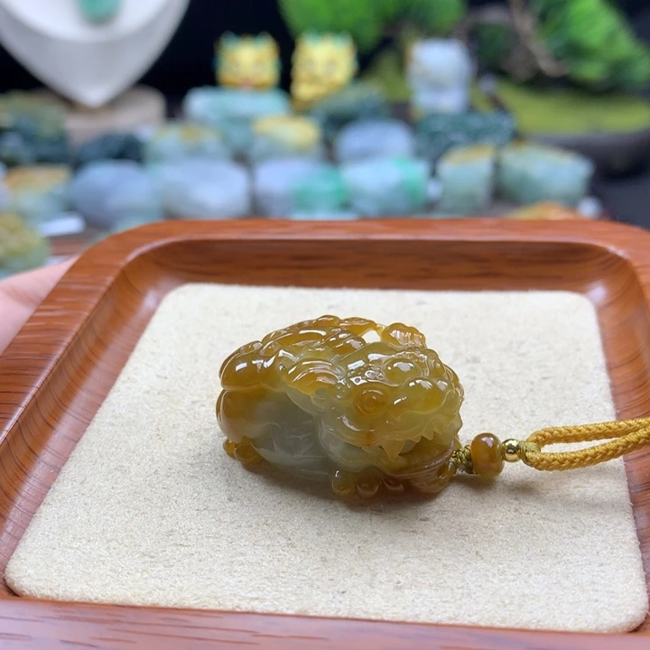 翡翠未镶嵌颈饰貔貅19
