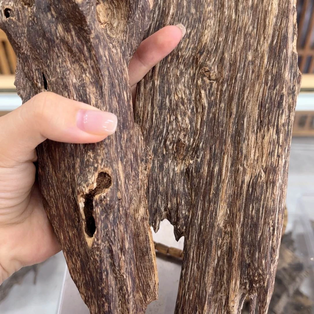 香榧木省*虫漏摆件351克