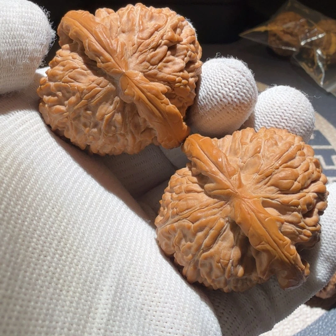 把件文玩核桃白狮子