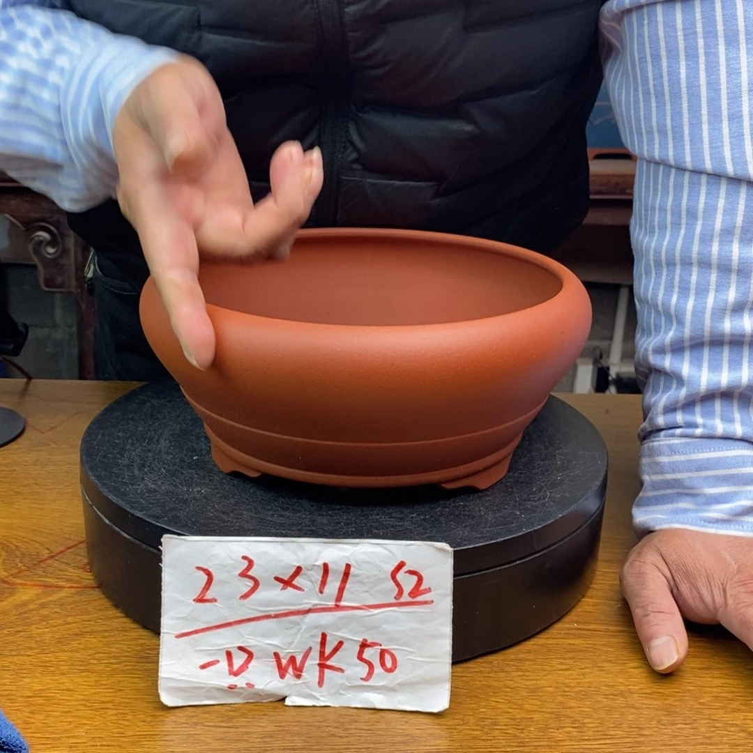 红陶货号一只WK50