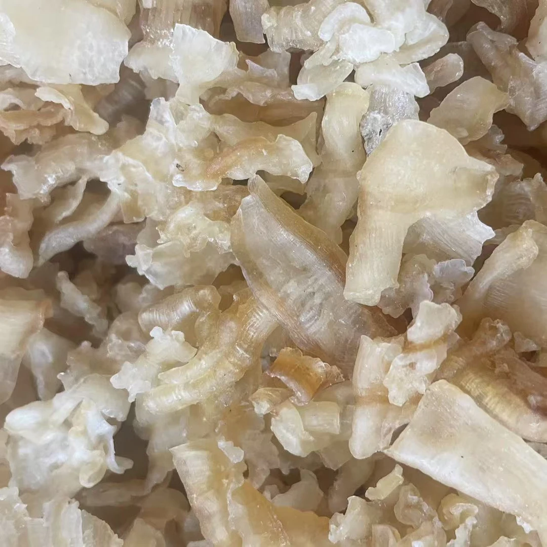 凤尾胶碎-介意勿拍