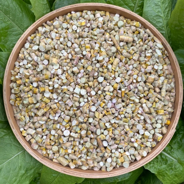 【杨老妹】山货 新石斛100-250克