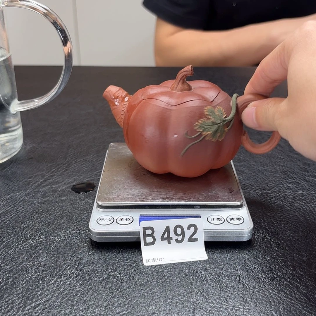 茶壶紫砂492yyyyyyyyy