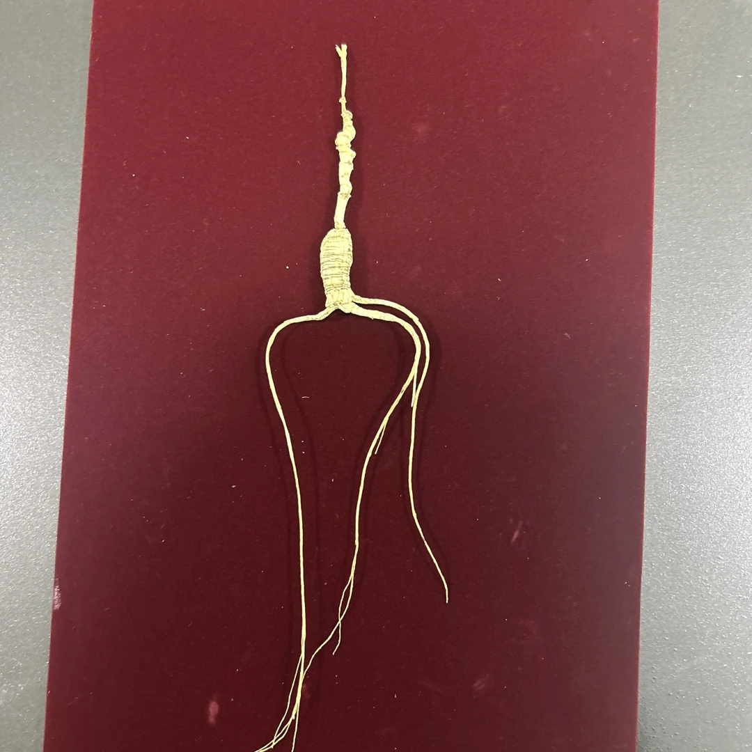 精品人参林下籽参-泡酒 访友 经济实惠