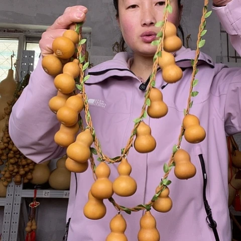 天然植物葫芦文玩