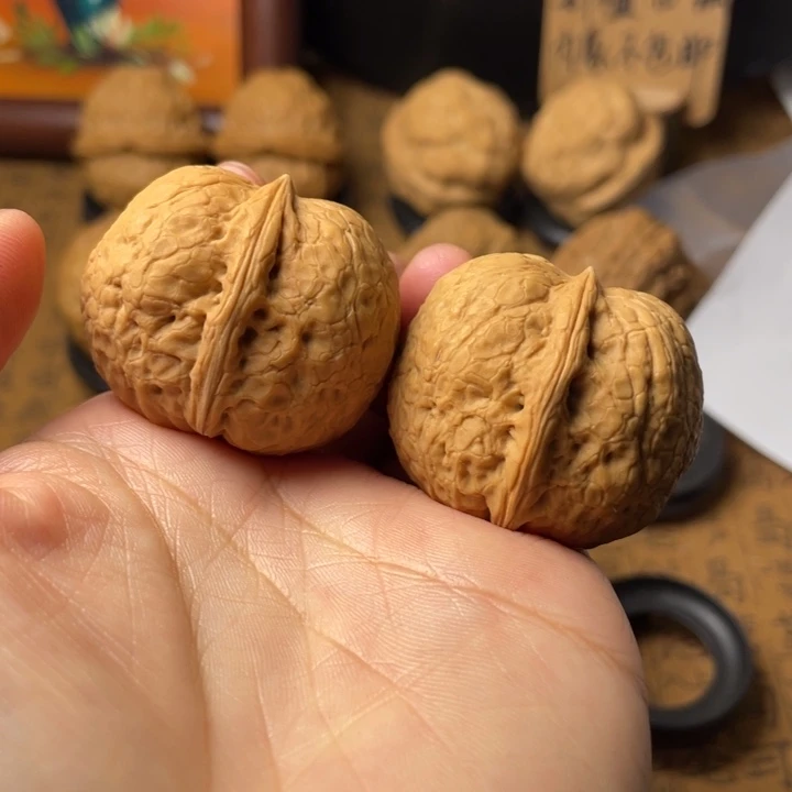 云南野生铁核桃编号23