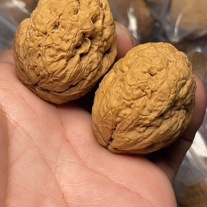 文玩核桃把件云南铁核桃76