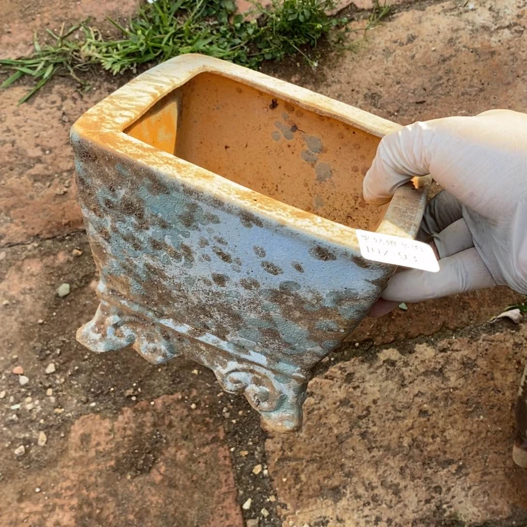 春*93号多肉盆一个的