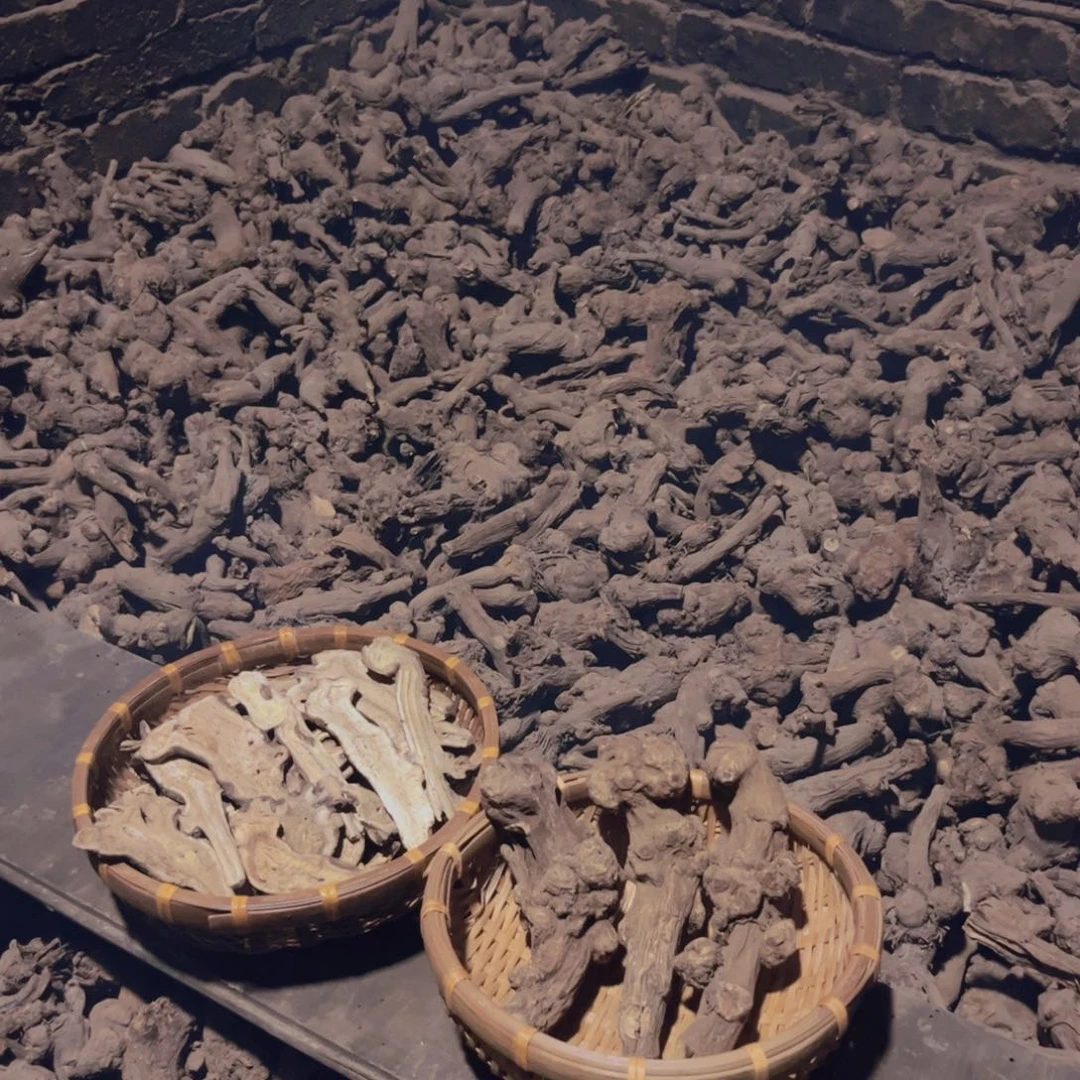 100克炒白术产地直发