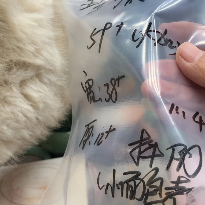 珍****石英质玉未镶嵌122344567890