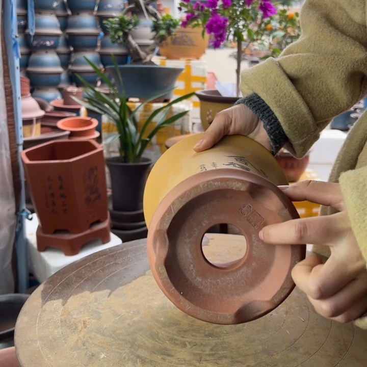 紫砂宜兴紫砂黄色舍得