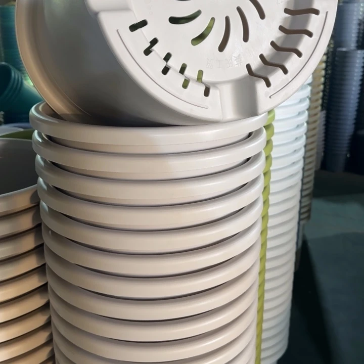 四季8号5个灰白色的