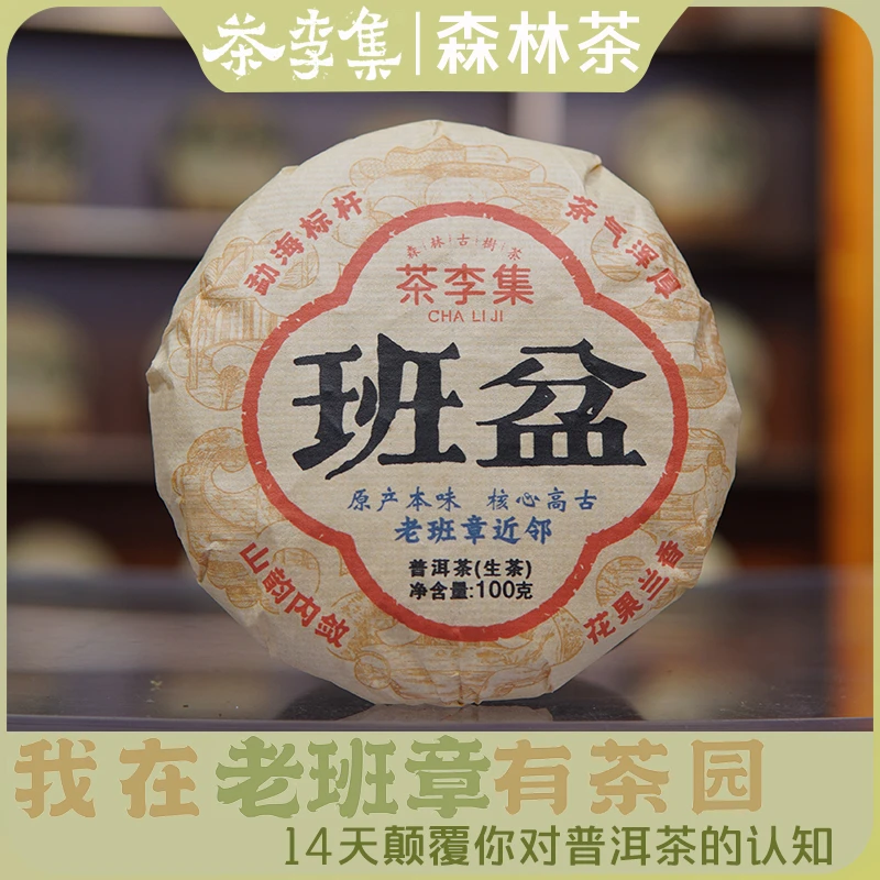 【茶李集森林茶】班盆 古树纯料生茶100g 拍1发2