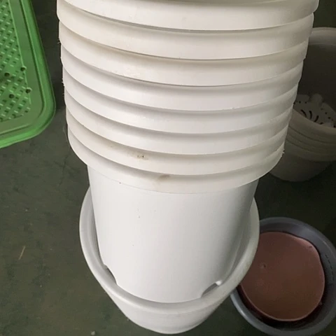 树脂有灰4号8个无托白