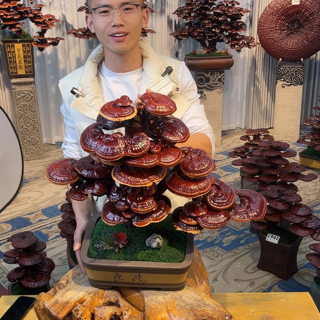 无花朵8888888888888