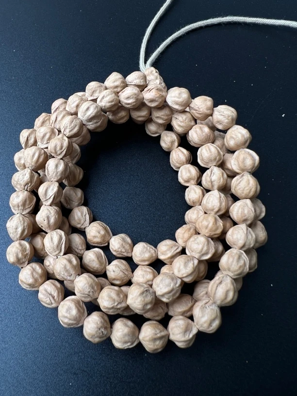 热振一哥《奶龙》定制级百香籽