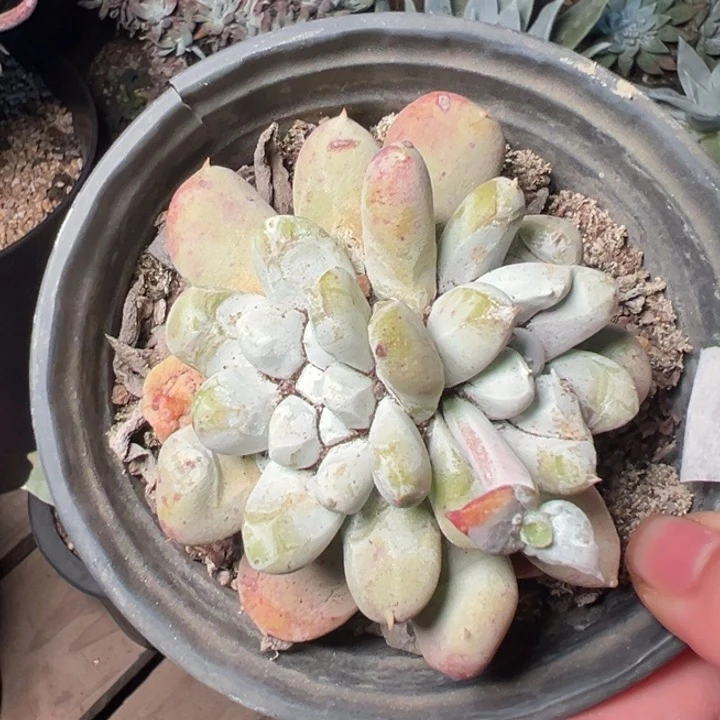 1888哈哈哈哈哈哈哈哈