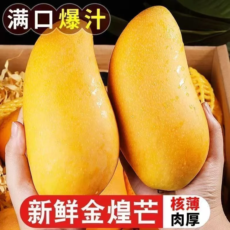 【正宗广西百色金煌芒】新鲜应季水果整箱10斤坏果包赔P