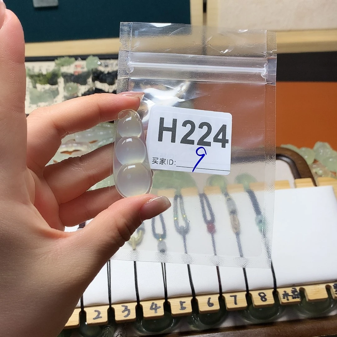 蛇纹石玉合金颈饰海**壳