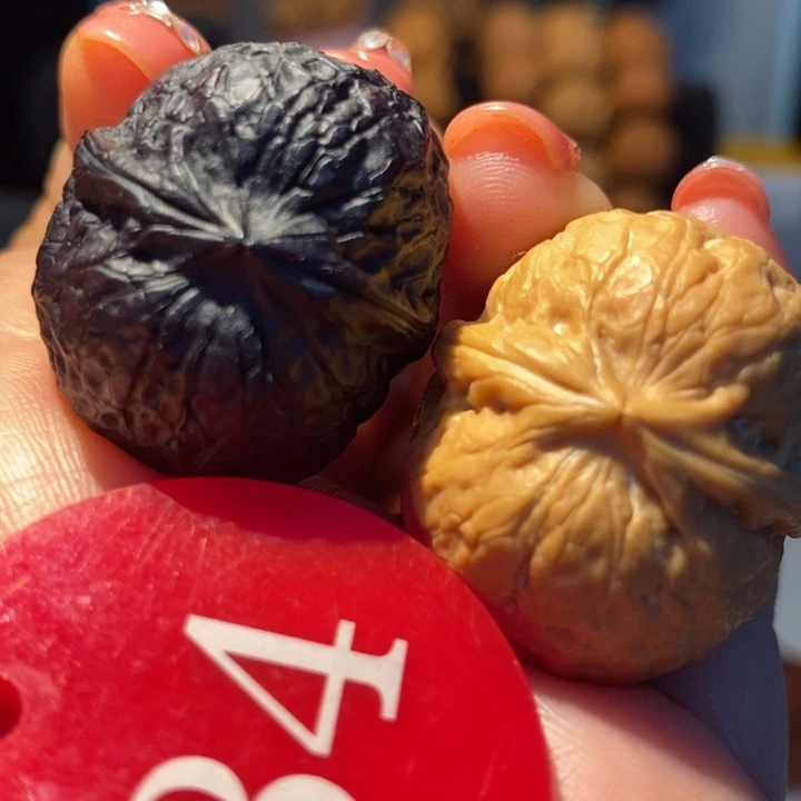 5号链接阴阳球30尺寸