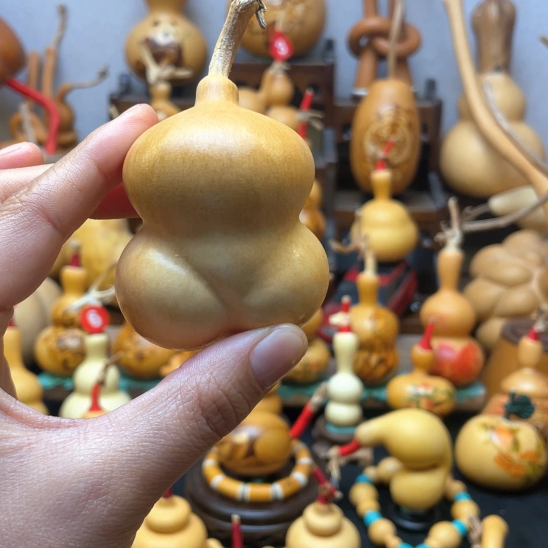 骑***原大自然的秘密第十节第二十