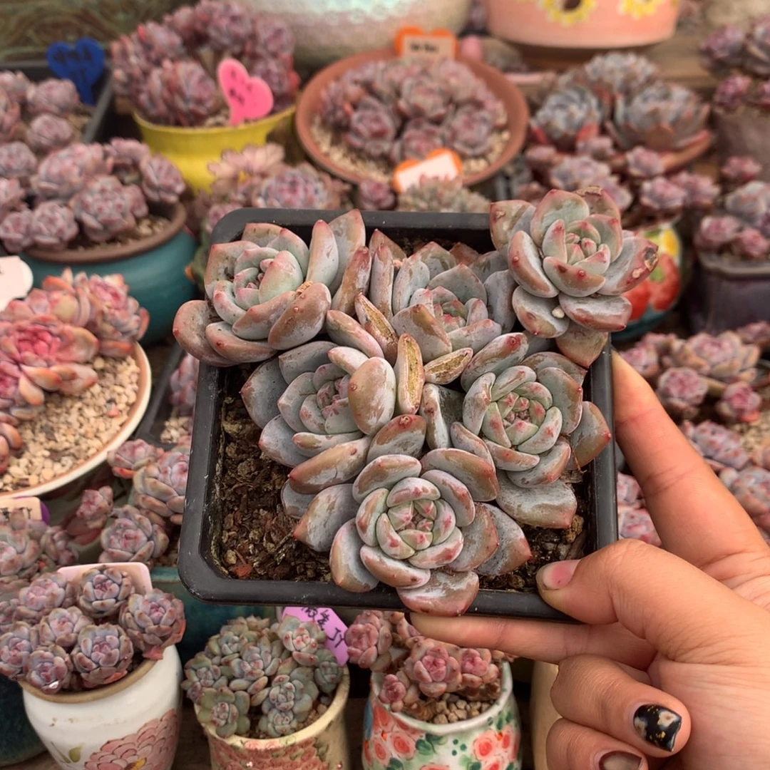 哈哈哈哈哈哈哈哈8