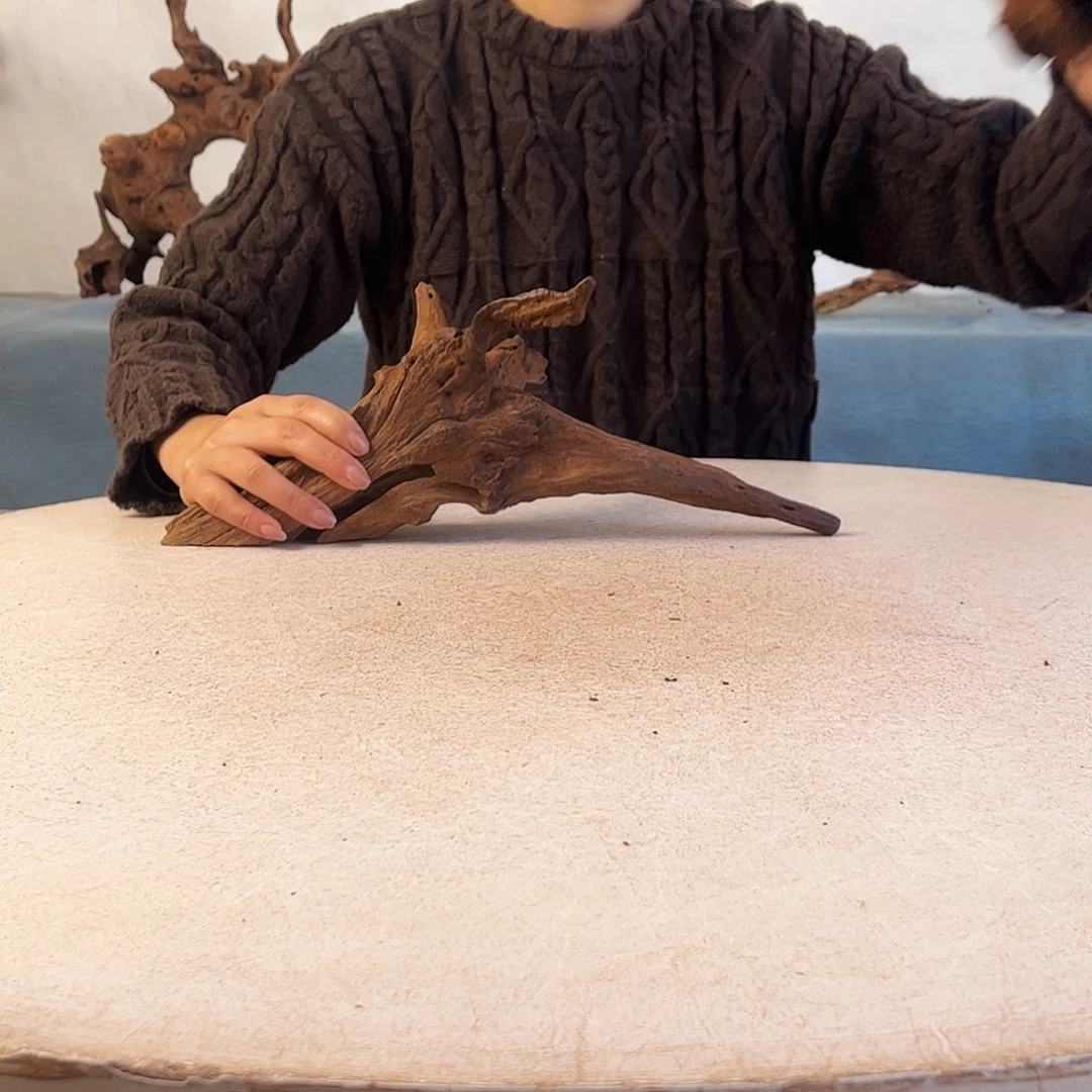 沉木造景寄居蟹造景