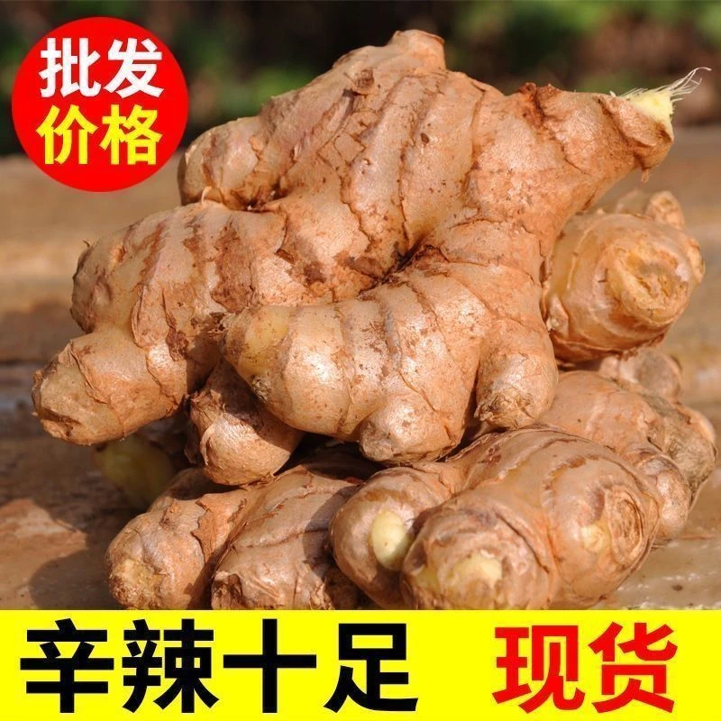 正宗云南小黄姜新鲜现挖姜香浓郁月子姜今年老姜1