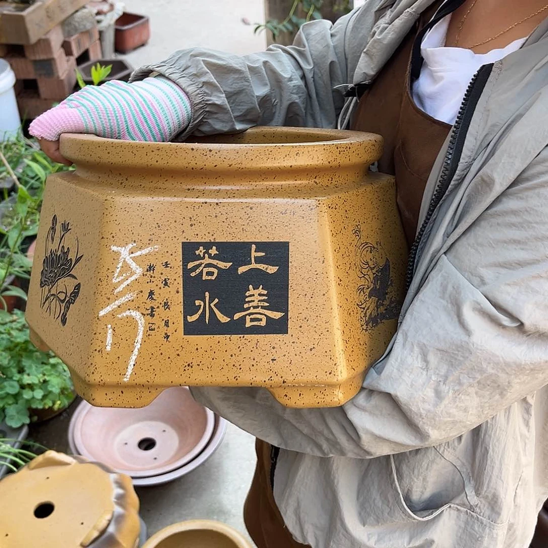 紫砂花盆盆景艺术