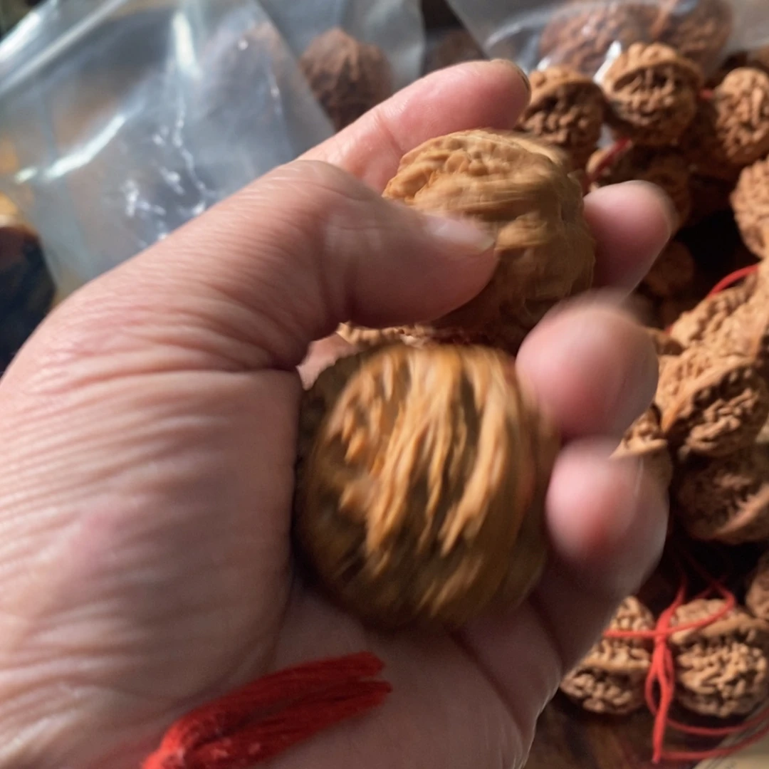 南****洲秦岭南侧和东北北部分别位于