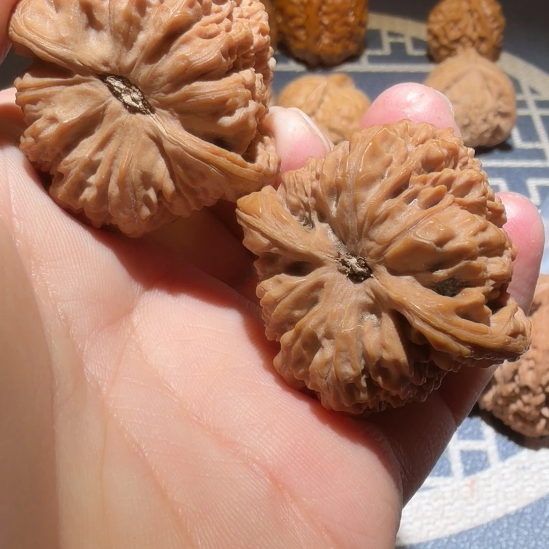 把件五线菩提南疆