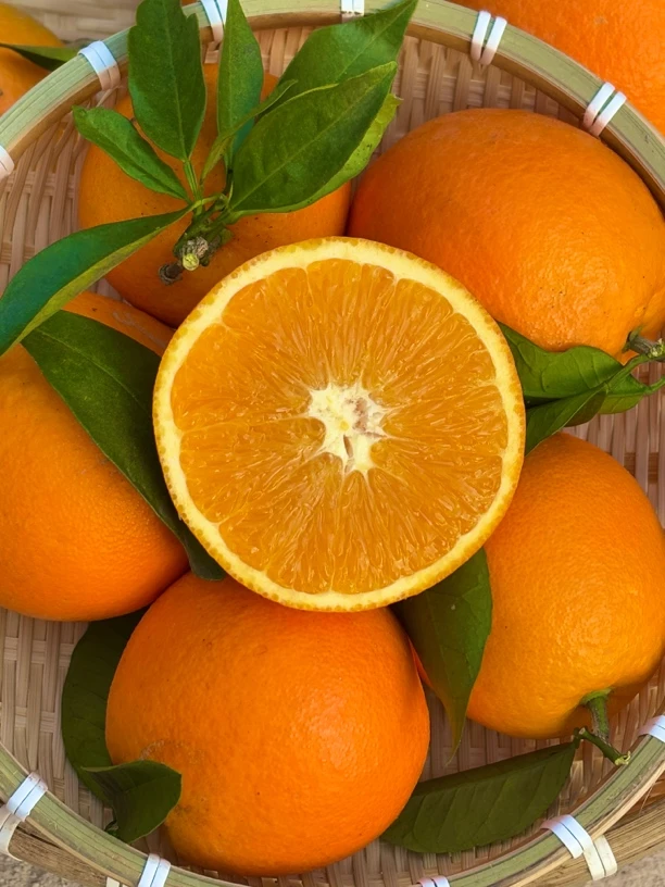 重庆巫山纽荷尔脐橙橙子果园现摘现发奉节新鲜长江边水果